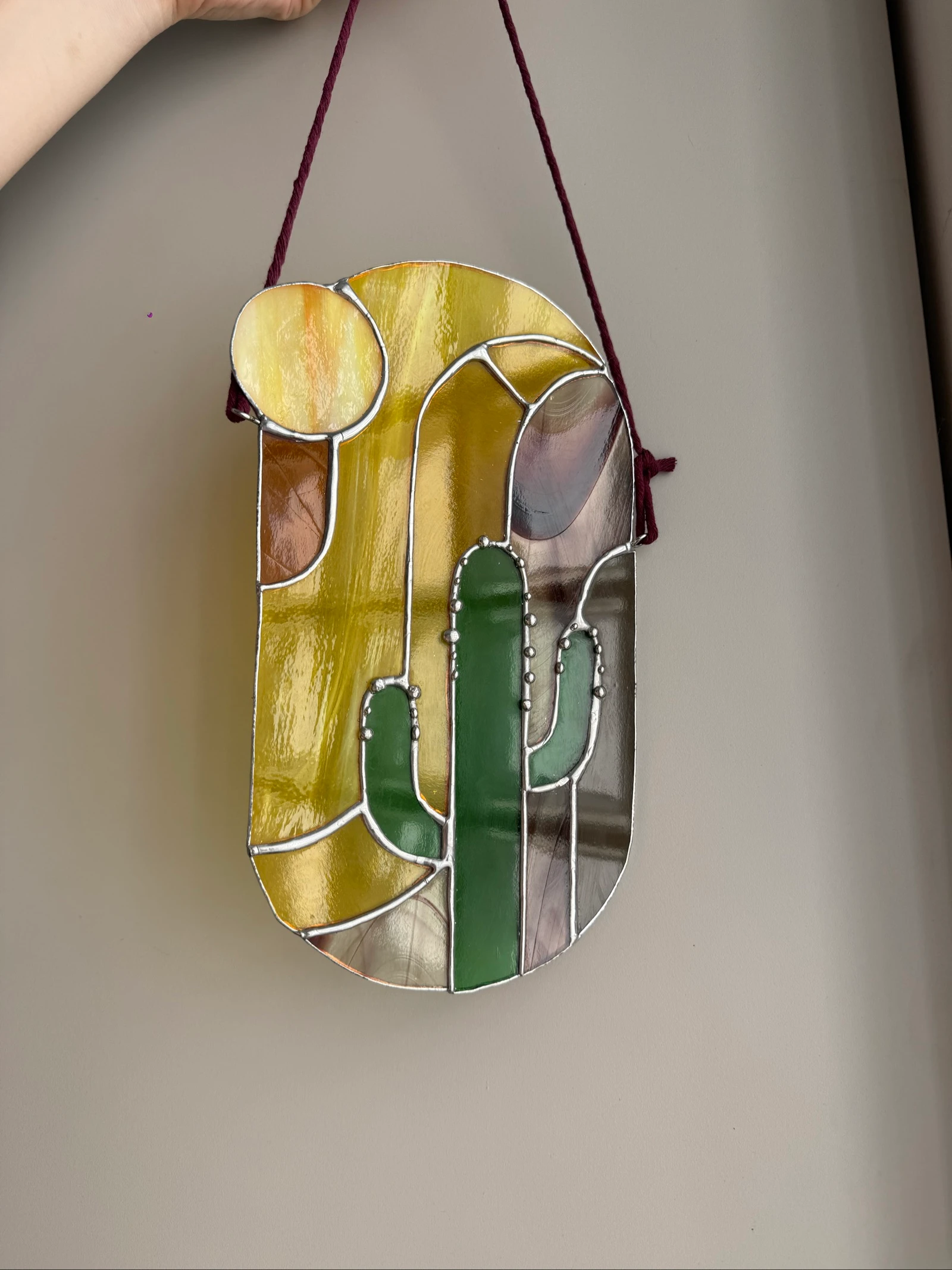 Cactus – photo 2